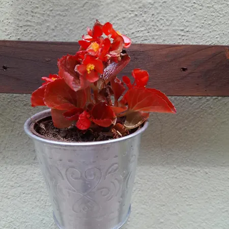 Rosanna Apartamento Spoleto