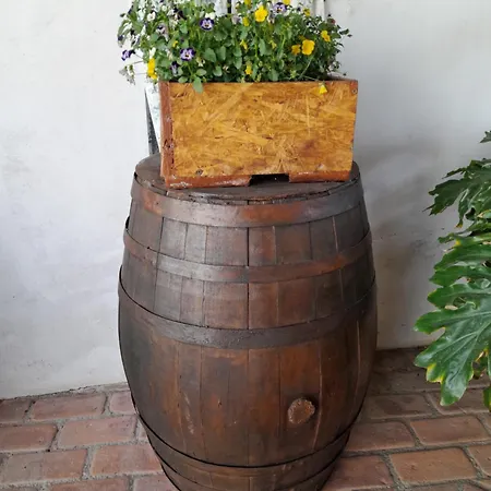 Appartement Rosanna