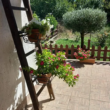 Rosanna Apartment Spoleto