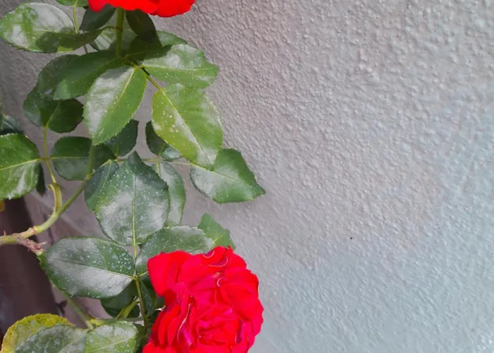 Apartament Rosanna Spoleto