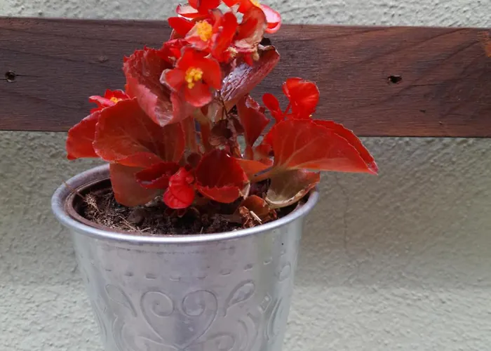 Rosanna Apartament Spoleto