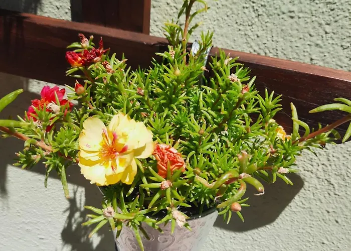 Rosanna Apartament Spoleto